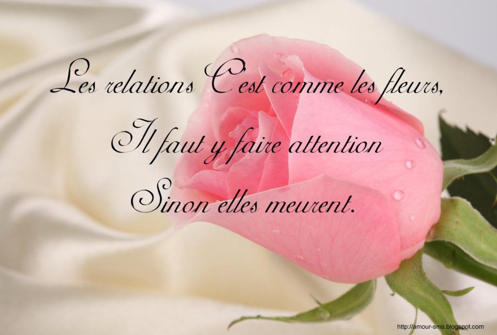 Proverbes et citations d�amour en images Message d�amour