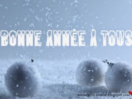 bonne année à tous