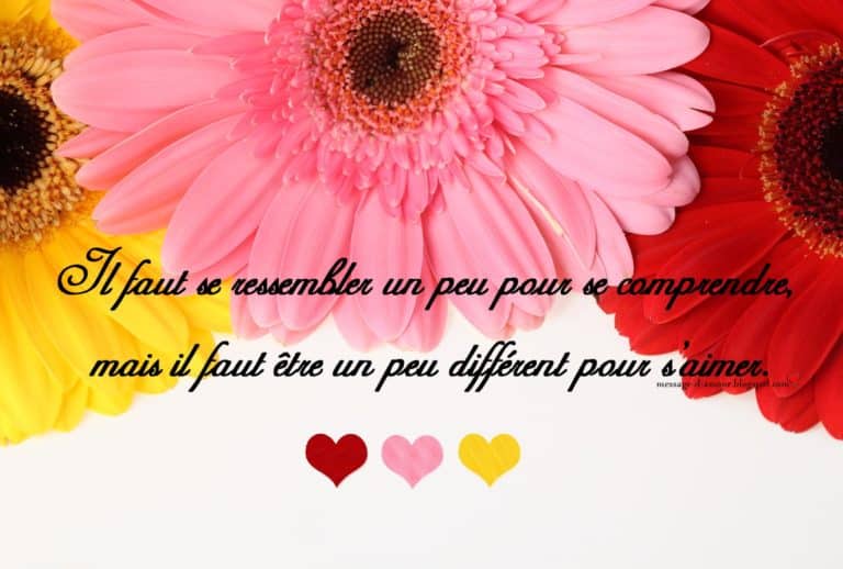 Citations d&rsquo;amour ( jolies cartes)