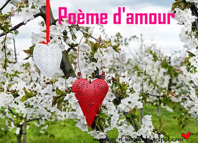 Poème d'amour