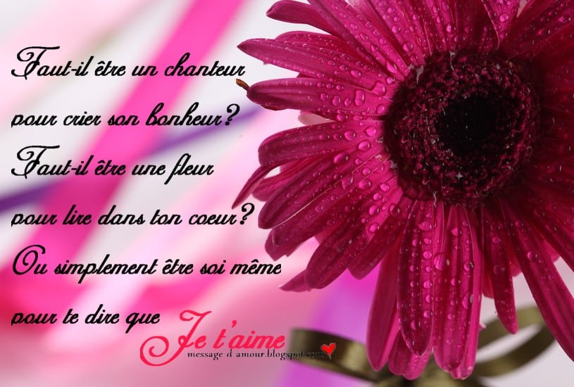 Sms D Amour Pour Elle Message D Amour