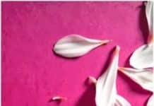 SMS d’amour triste