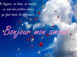 Citation bonjour mon amour