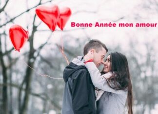Bonne année mon amour