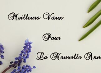 Carte de vœux bonne année