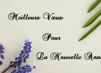 Voeux de bonne année Carte de vœux bonne année