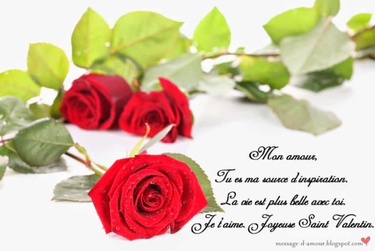 carte saint valentin