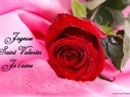 Joyeuse saint valentin