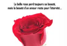 carte saint valentin