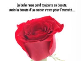 carte saint valentin