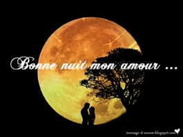 Bonne nuit mon amour