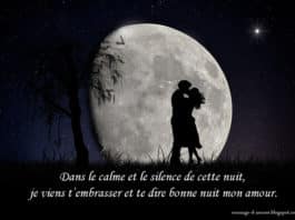 Bonne nuit mon amour