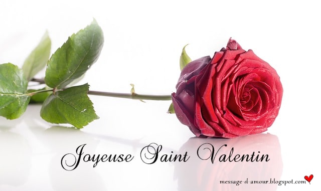 Carte Saint Valentin rose