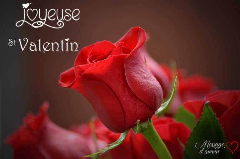la plus belle carte saint valentin