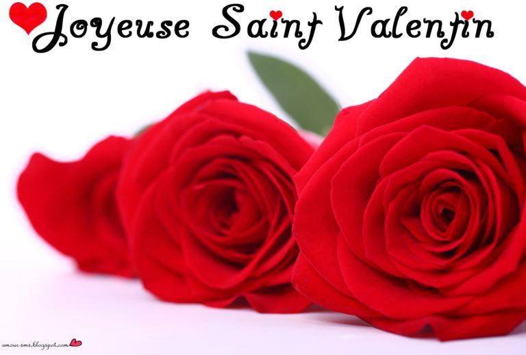 Jolie carte de fleurs pour Saint Valentin