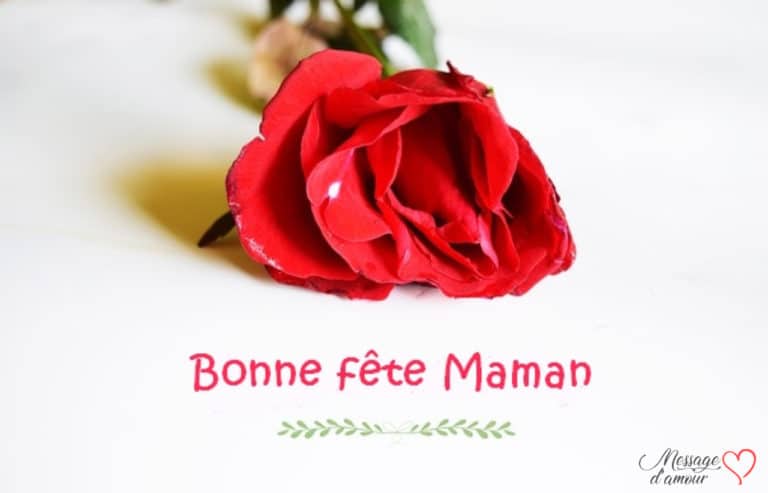 Voeux de bonne fête des mères