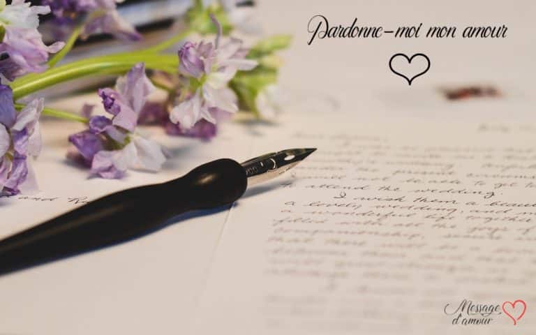Pardonne moi mon amour