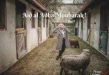 Aid al adha moubarek photo