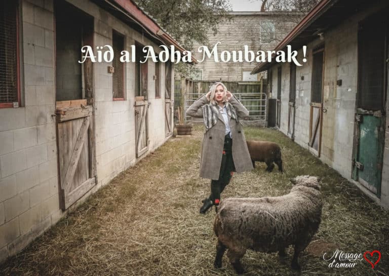 Aid al adha moubarek photo