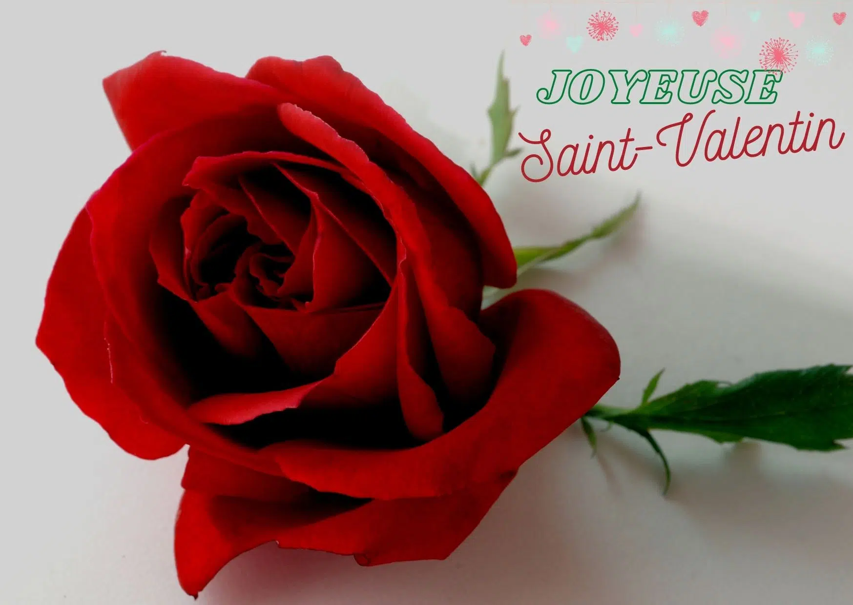 Carte de Saint Valentin