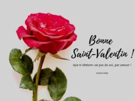 carte saint valentin à imprimer