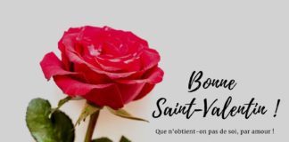 Carte Saint Valentin : les plus jolies cartes d’amour ! carte saint valentin à imprimer