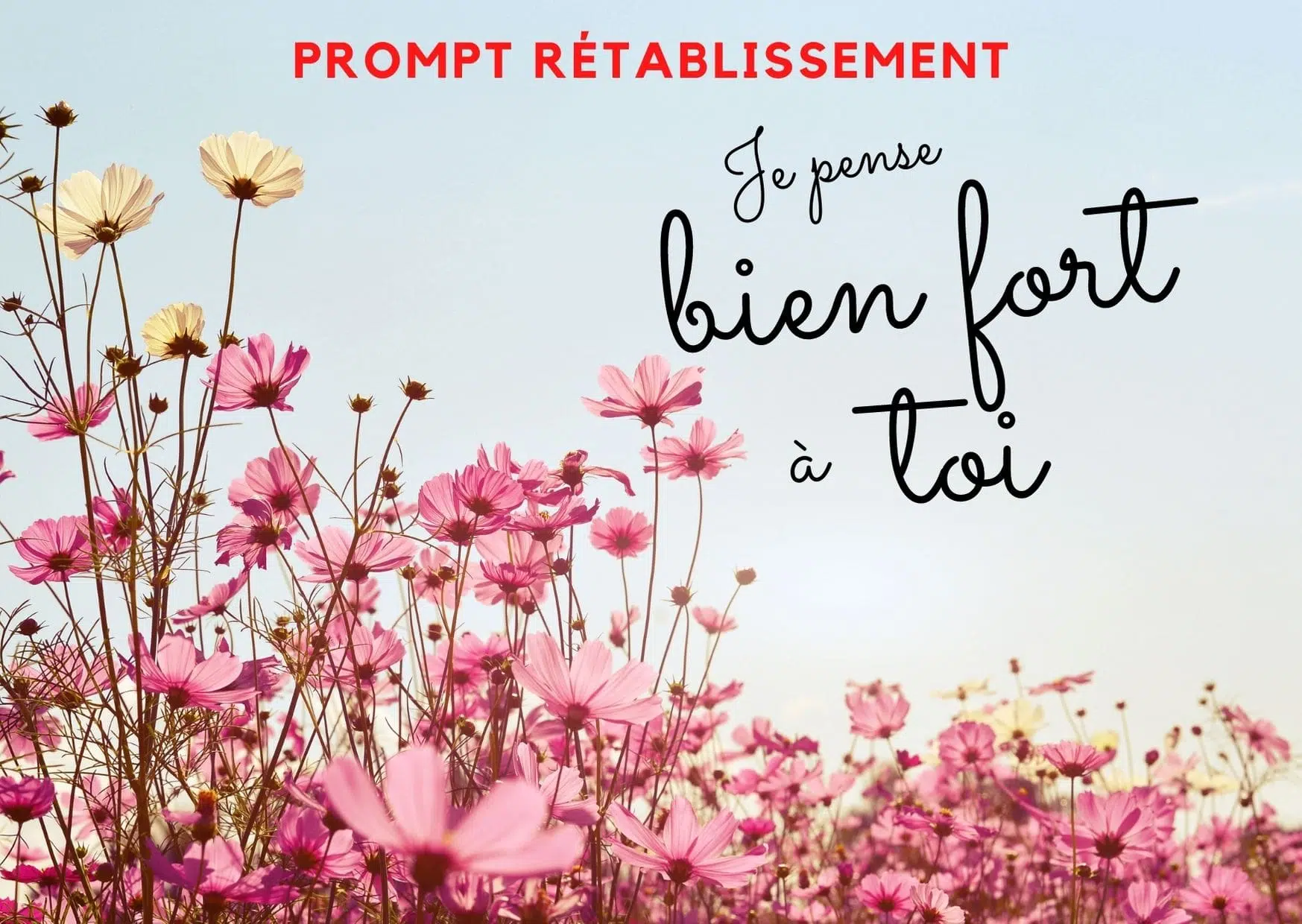 carte prompt rétablissement