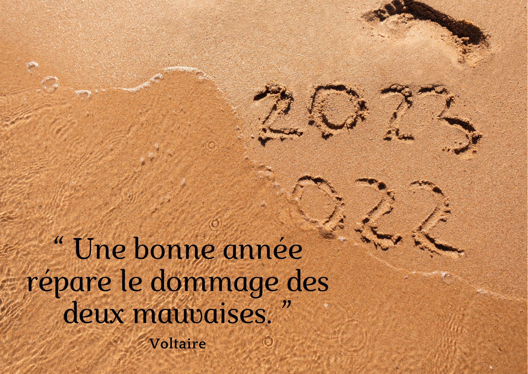 Citation bonne année Voltaire