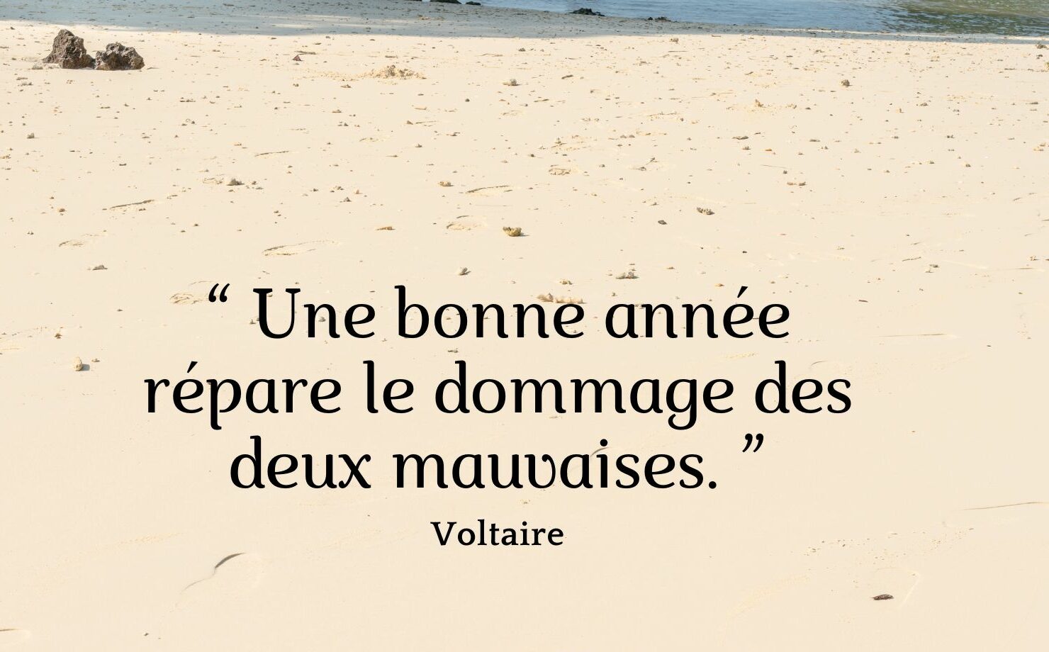Cartes de voeux 2026 avec des citations inspirantes 4 Citation bonne année Voltaire
