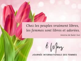 citation journée de la femme