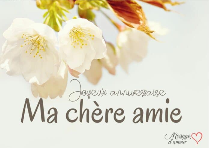 Souhait Joyeux Anniversaire A Une Amie