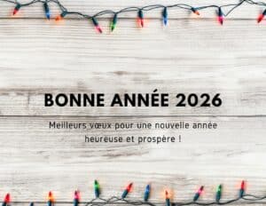 Bonne année 2026 : messages, textes et cartes pour réussir ses voeux 13 2026 carte nouvelle annee