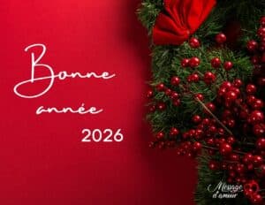 Bonne année 2026 : messages, textes et cartes pour réussir ses voeux 12 bonne annee 2026