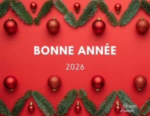 Bonne année 2026 : messages, textes et cartes pour réussir ses voeux 11 carte bon annee 3