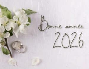 Bonne année 2026 : messages, textes et cartes pour réussir ses voeux 9 carte de nouvelle annee 2026