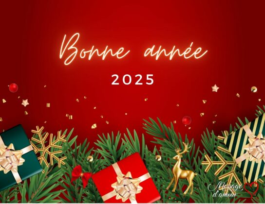 joyeuse annee 2025