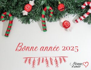 message bonne année