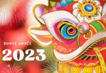 Vœux pour le Nouvel An chinois 2023