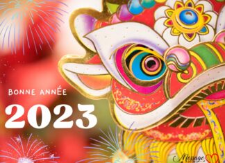 Vœux pour le Nouvel An chinois 2023