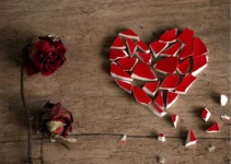 50 Citations cœur brisé Recoller un morceau de cœur brisé avec une citation inspirante.