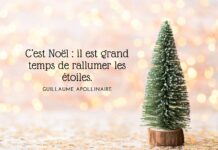 Citation Guillaume Apollinaire