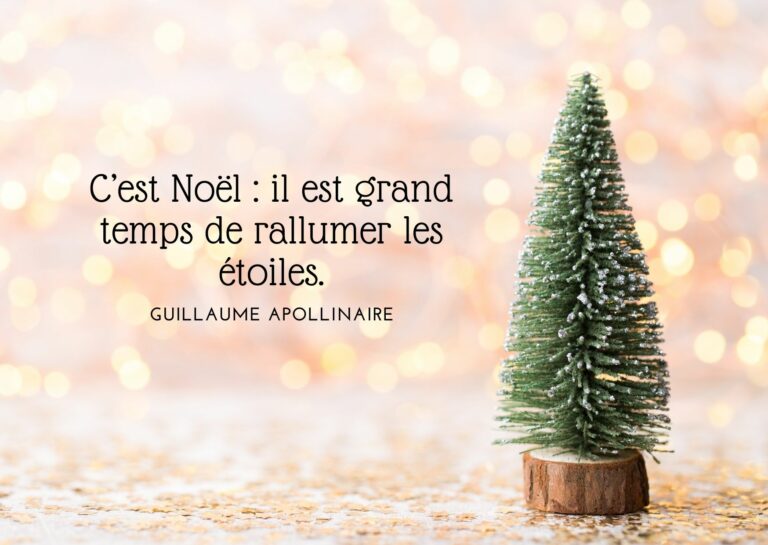 Citation dApollinaire sur les voeux de Noël pour une inspiration festive.